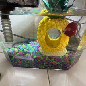 Meet your Posher, Mandy